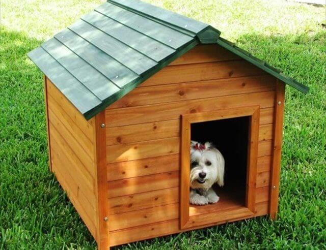 dog kennel made from pallets