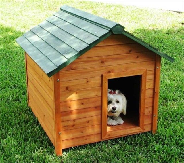 dog house with pallets