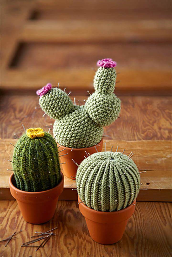 Top 43 DIY Cactus Craft Ideas