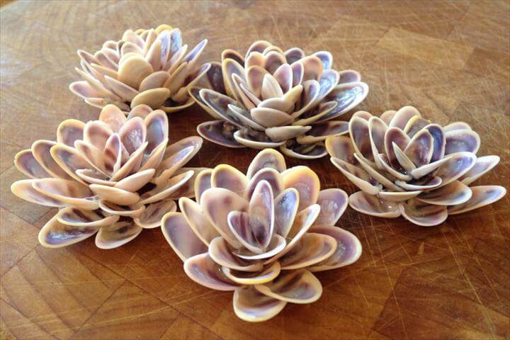 12 Ideas About Sea Shell Projects   Bloomig Flower Fron Shells 