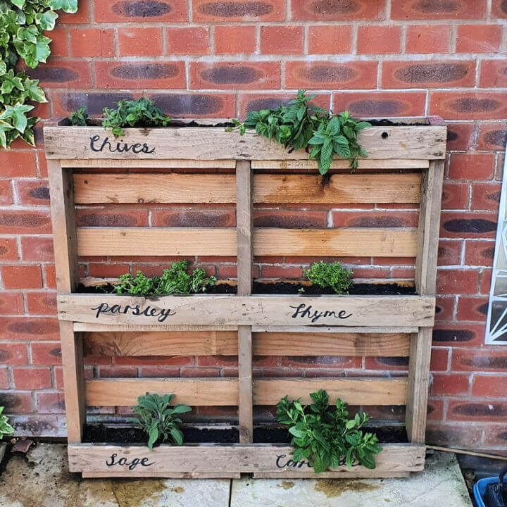 30 Genius DIY Herb Garden Ideas in 2021 {Updated}