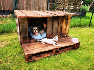 15 Free DIY Pallet Dog House Plans – DIY to Make